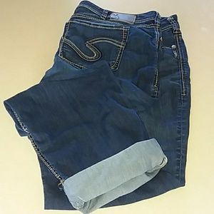 Plus Size 24W Silver Capris